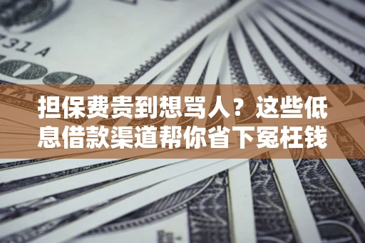 北京担保费贵到想骂人？这些低息借款渠道帮你省下冤枉钱