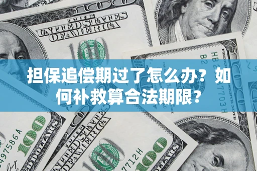 北京担保追偿期过了怎么办？如何补救算合法期限？