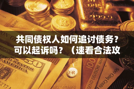 北京共同债权人如何追讨债务？可以起诉吗？（速看合法攻略）